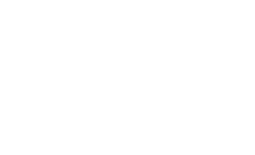 Connute Gestão Contábil e Financeira
